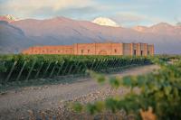 Andeluna Winery Lodge - B&B Tupungato