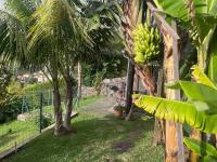 Lucky Lemons - Boutique Houses Madeira (Studio) - B&B Calheta