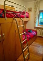 Appartamento Daniela Dolomiti. - Ferienwohnung Auronzo