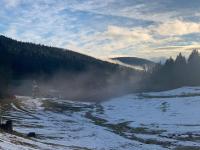 Natur pur im Nationalpark Schwarzwald - Chambres d’hôtes Ottersweier
