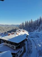 The Golden Nest - 3 Bedroom Family Mountain Apartment - Chambres d'hôtes Pamporovo