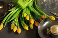 Przytulne Studio 5 z parkingiem - Ferienwohnung Kattowitz