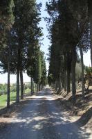 Agriturismo Colle Verde - B&B Castelfalfi