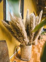 Maison de Hill Home - B&B Thị Trấn Đồng Văn