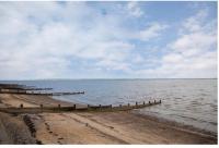 Newland's - B&B Rochester