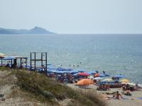 Palm Apartment - B&B Valledoria