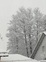 Camera Singola con Doccia e Servizi Igienici in Comune