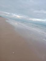 La Salicorne, maison d'hôtes. - B&B Brévands