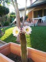 Villa Mimmo - Ferienwohnung Lascari