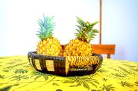 Cabañas moeVarua en Tahai - Ferienwohnung Hanga Roa