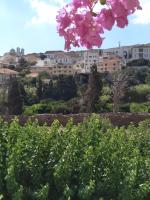 Iokasti studios - B&B Andros