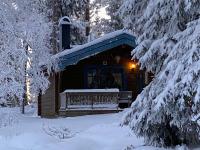 Timrad stuga i kanten av skogen med SPA möjlighet - Chambres d’hôtes Mullsjö