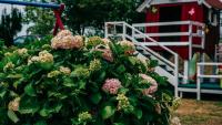 Apartments and rooms Hope - B&B Slunj