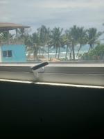 cric villa - B&B Galle