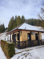Cozy house Elena - Ferienwohnung Drăgoiasa