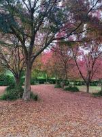 Claret Lodge Modern country retreat - B&B Gnarwarre