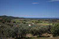 Bilocale con terrazza e vista mare - Bed and Breakfast Castagneto Carducci