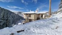 B&B Stoykite - Cozy & Spacious Pamporovo Villa - Bed and Breakfast Stoykite