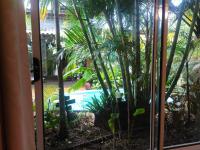 Suite with Pool View