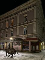Miniapartament Jelonka - B&B Jelenia Góra