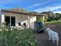 LA PIANA Holiday House - B&B Bassacutena