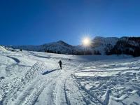 Sonniges Apartment in Seefeld - B&B