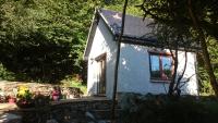 In The Woods - B&B Ballintogher