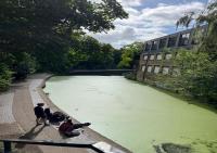 Special Flat in Camden Town - Bed and Breakfast Londen