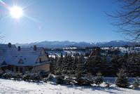 Willa Cisyna - B&B