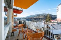 Mountain Dream - B&B Sinaia