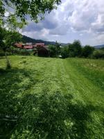 Cabana Ianis - B&B Topliţa