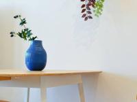 Lovely City 1BR Apt Free Parking & Facing Mall - B&B Canberra