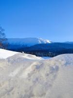 Słoneczna Chałupka - B&B Zawoja