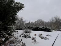 Apartment with Garden View