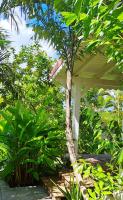 Casa Vacanze
