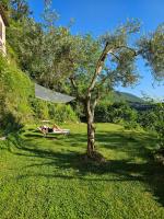 Casa Fossatello - B&B