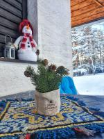 Chalet con 1 Camera da Letto