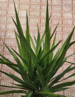 VUELVE apartamentos - B&B Fuente de Cantos