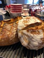 Dejligt Tinyhouse i Gilleleje - Chambres d’hôtes Gilleleje