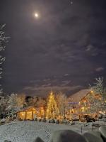 Bârlogul Vikingilor - Ferienwohnung Şotrile