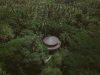 Jungle House Estate - B&B