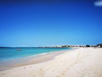 Luxury Beachhouse Apartment Boa Vista - Bed and Breakfast