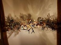 Woodys Retreat Cosy One Bed Cottage - B&B Belper