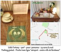 LE FORTUNY - 3 Suites, 2 apparts, 1 chambre - proche TRAM ligne aéroport et parking gratuit - B&B Mérignac
