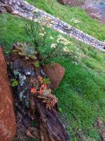 Chalet con 1 Camera da Letto