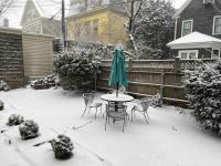 Large Elegant Home Walk to BROWN RISD - B&B