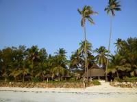 B&B Paje - Paradise Beach Bungalows - Bed and Breakfast Paje