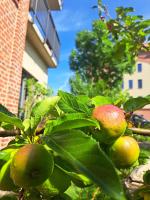 "Wasserblick 9" Two-Bedroom  Apartment with Balcony and Lakeview - Split Level