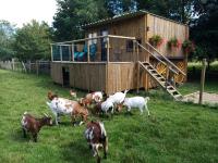 Le Cabanon - B&B Dangeau