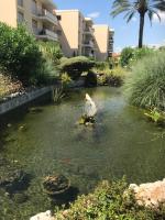 Studette Pointe Croisette - Axelle Loc'Appart - Chambres d’hôtes Cannes